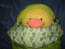 NEMO Punk 20 -Mountain Hardwear Shop DSC04125a