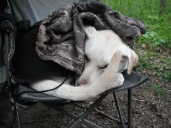 ALPS Mountaineering Lightweight Series Self Inflating Air Pads -Mountain Hardwear Shop DSCF0020