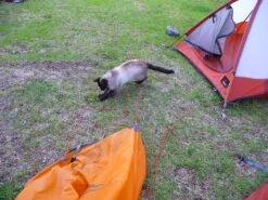 MSR Fury -Mountain Hardwear Shop msrfury4