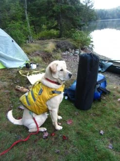 ALPS Mountaineering Lightweight Series Self Inflating Air Pads -Mountain Hardwear Shop site 4 mat 1